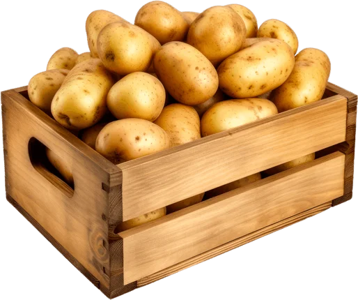 Ящик с картошкой