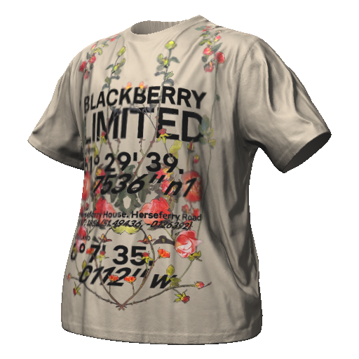 Серая футболка BLACKBERRY