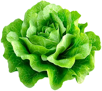 Салат