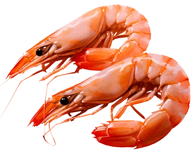 Креветки