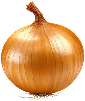 Лук