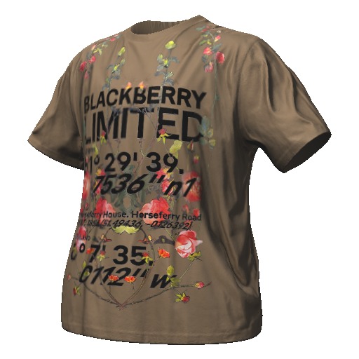 Бежевая футболка BLACKBERRY