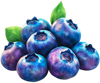 Черника