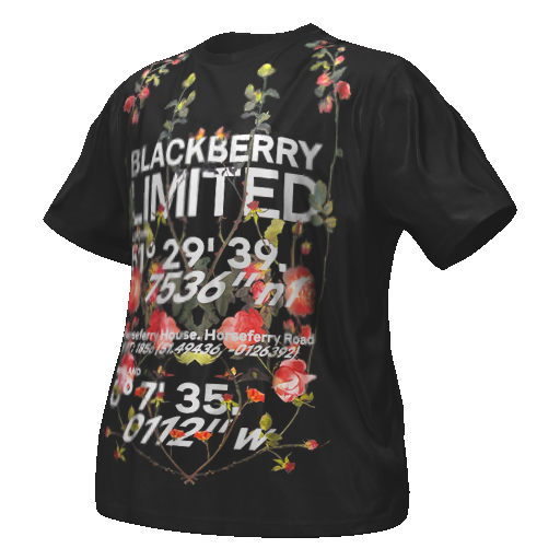 Черная футболка BLACKBERRY