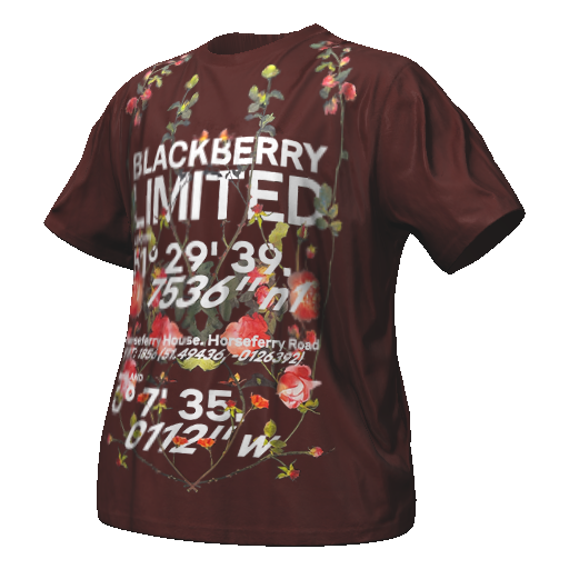 Красная футболка BLACKBERRY