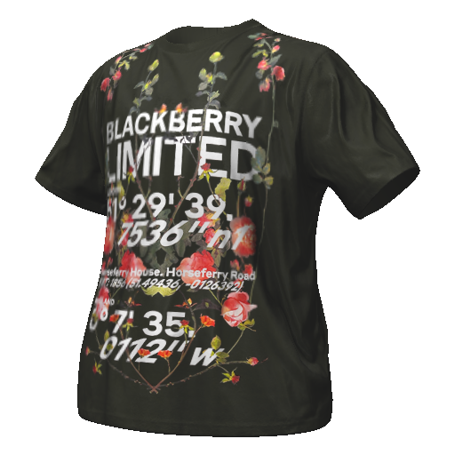 Зеленая футболка BLACKBERRY