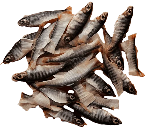 Куски рыбы