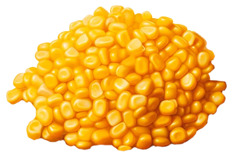 Кукуруза