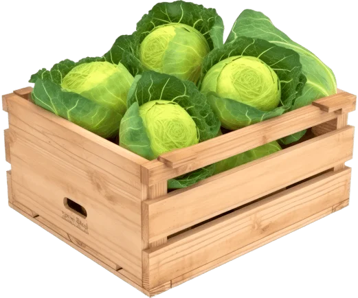 Ящик с капустой
