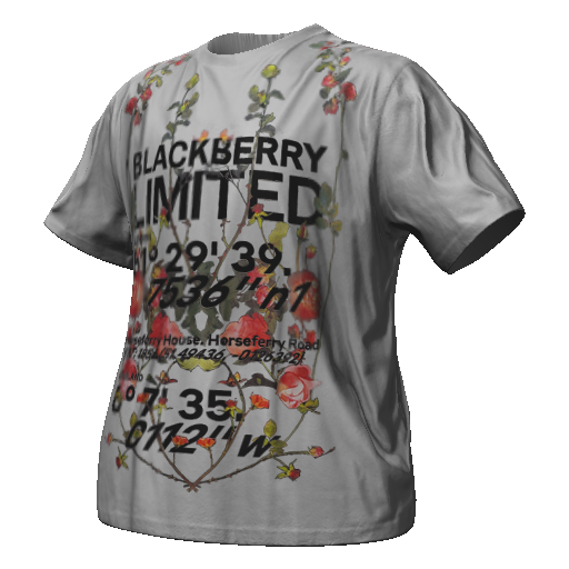 Белая футболка BLACKBERRY