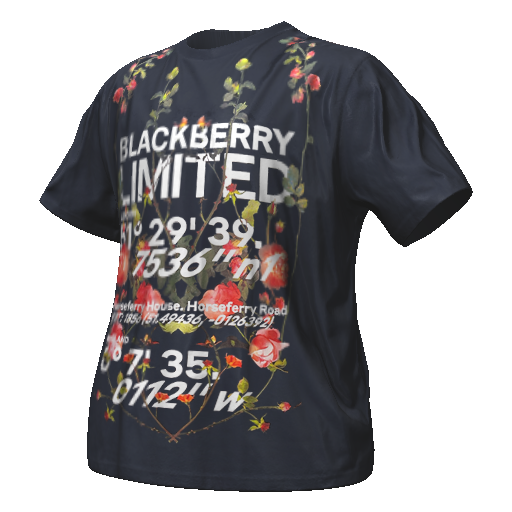 Синяя футболка BLACKBERRY