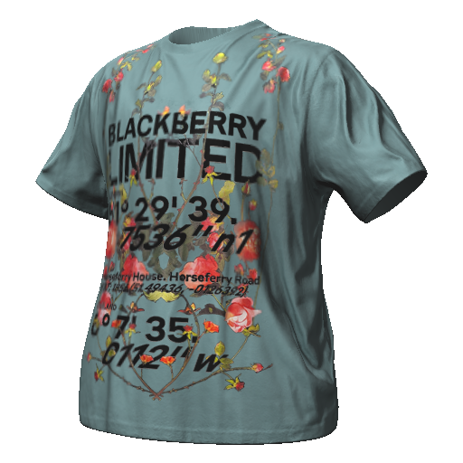 Голубая футболка BLACKBERRY