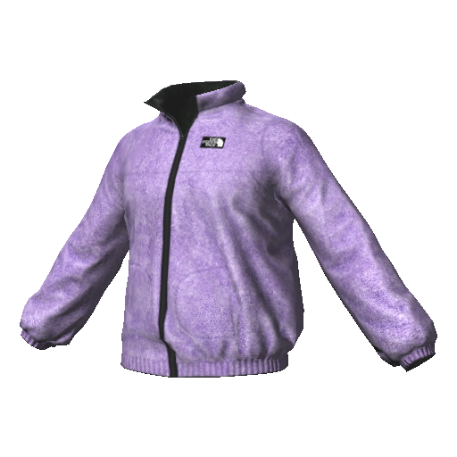 Фиолетовая куртка TNF (мех снаружи)